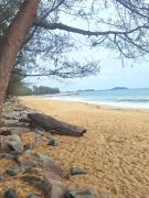 Top Kampong Sura Tengah