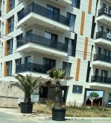 Koya Tower by Lake Mamaia