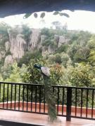 Top Yercaud