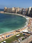 Cozy Beachfront Apartments