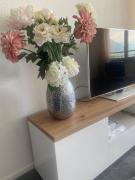 Top Locarno Top Locarno