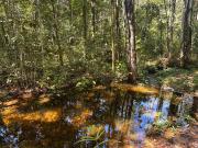 Chacara Refugio das Babaçus