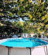 Nica Mango Tree Casa