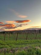 Top Calingasta Top Calingasta