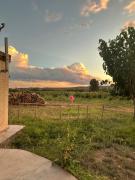 Top Calingasta