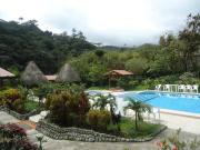 Top Palmira