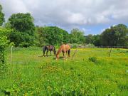 Top Minihy-Tréguier