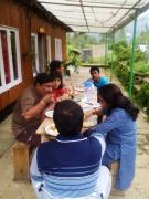 Top Mirik