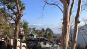 Top Darjeeling