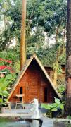 Top Kintamani