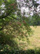 La Parenthèse gîte à la campagne