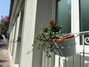 Dimora Incanto Dimora Incanto