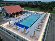 Top Gribžiniai Top Gribžiniai