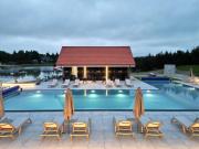 Top Gribžiniai Top Gribžiniai