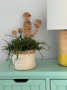 Top Darłowo i Darłówko Top Darłowo i Darłówko