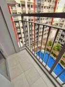 Paeans Pods at Bloom