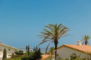 Top Marbella