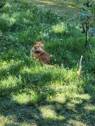 Top Cussac-Fort-Médoc