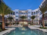 Tampa Central Unicorn!