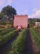 Top Karangasem