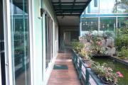 Top Chiang Mai