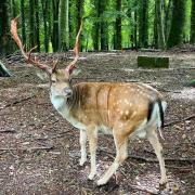 Top Vico del Gargano Top Vico del Gargano