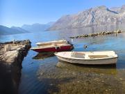 Top Kotor