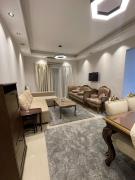 Comfy apartment in shikh zayed