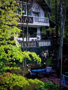 Villa Byala Luna - Guest House