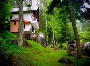 Top Bistritsa Top Bistritsa