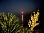 Sun Wave Apartment Presige