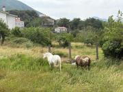 Top Maratea