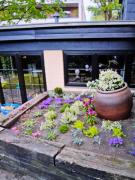 Top Mülheim an der Ruhr