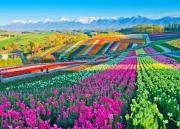 Top Nakafurano Top Nakafurano