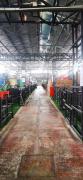 Top Teluk Intan