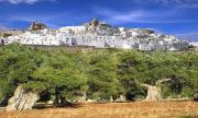 Top Ostuni