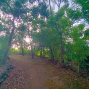 Top Nusa Penida Top Nusa Penida