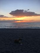 Top Diamante Top Diamante