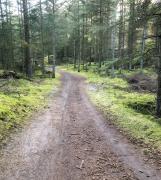 Forest Cabin With Panoramic View Near Blokhus