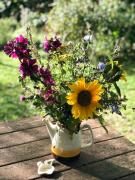 Nordic Style And Light In Rågeleje Home