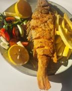 Top Nov Dojran