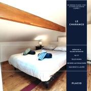 Le Charance - Duplex cœur de Gap - WIFI