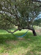 il Lentischio Casa B1