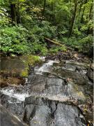 Top Bryson City