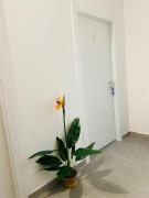 Micrea House Lido Beach