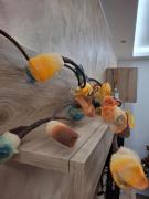 Top Lizzano in Belvedere