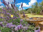 Top Les Baux-de-Provence
