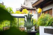 Top Luoyang