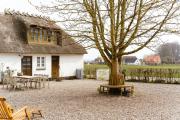 Top Nyborg