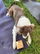 Top San José del Cabo